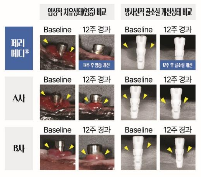페리메디® 비임상시험 (vs 타사). 임상적 치유상태(염증) 비교, 방사선적 골소실 개선상태 비교. 페리메디® Baseline, 12주 경과: 12주 후 염증 개선, 12주 후 골소실 개선. A사, B사 Baseline, 12주 경과